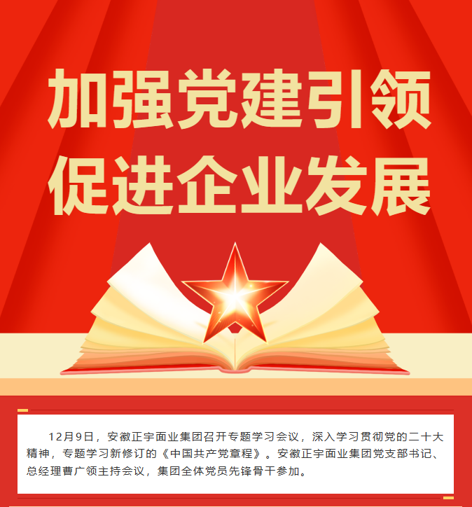 「加強黨建引領(lǐng) 促進企業(yè)發(fā)...